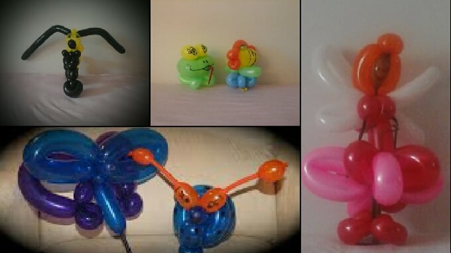 Gallery photo 7 of iColor