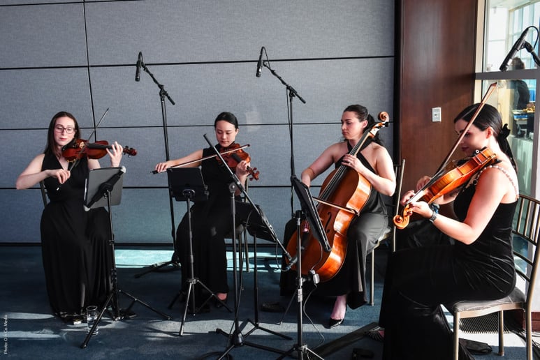 Gallery photo 4 of Sin City Strings by Impulse Strings