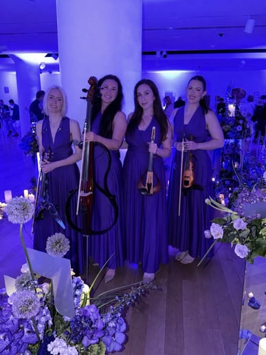 Gallery photo 10 of Sin City Strings by Impulse Strings