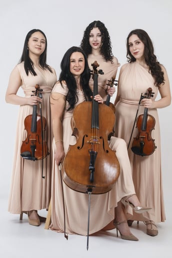 Gallery photo 2 of Sin City Strings by Impulse Strings