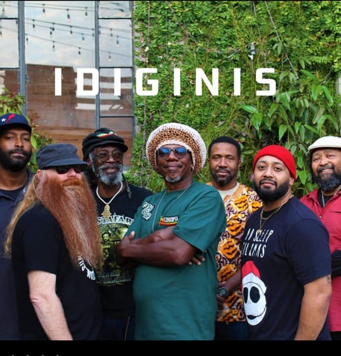 Gallery photo 1 of Idiginis