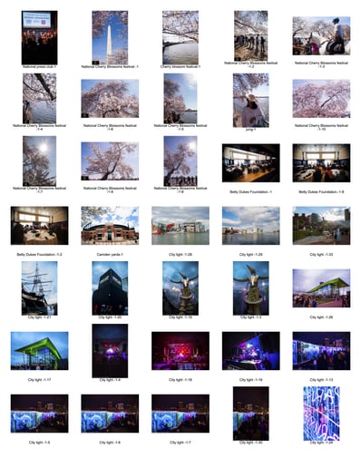 Gallery photo 3 of Idm