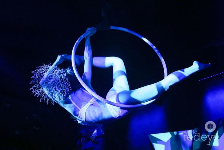 Gallery photo 9 of ILLYATRISS