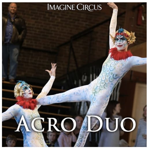 Gallery photo 6 of Imagine Circus