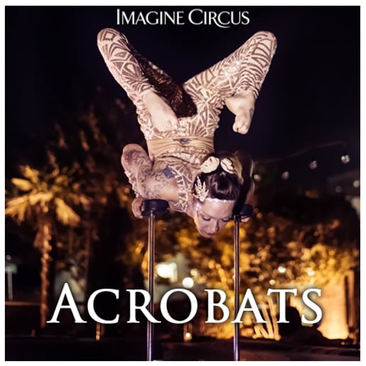 Gallery photo 10 of Imagine Circus