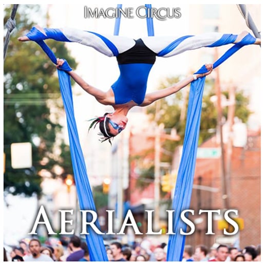Gallery photo 2 of Imagine Circus