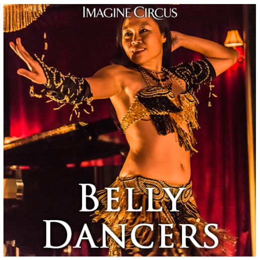 Gallery photo 7 of Imagine Circus