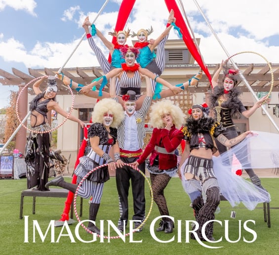Gallery photo 1 of Imagine Circus