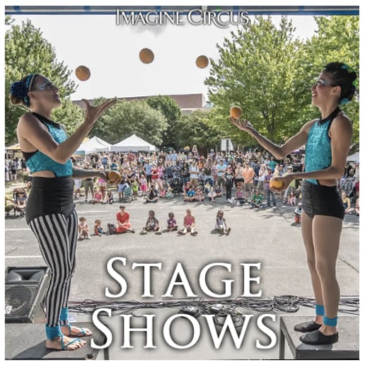 Gallery photo 9 of Imagine Circus