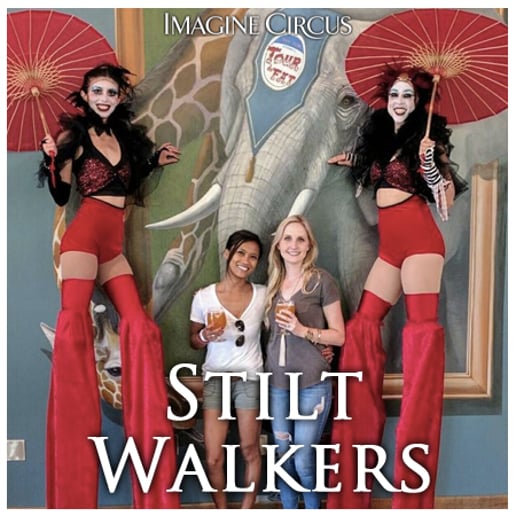 Gallery photo 3 of Imagine Circus