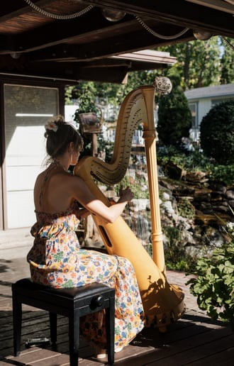 Gallery photo 1 of Imaharpist