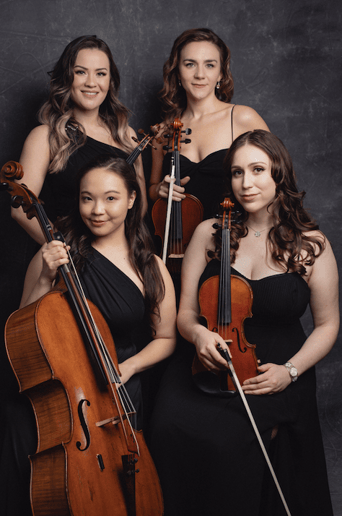 Gallery photo 1 of Impulse Strings