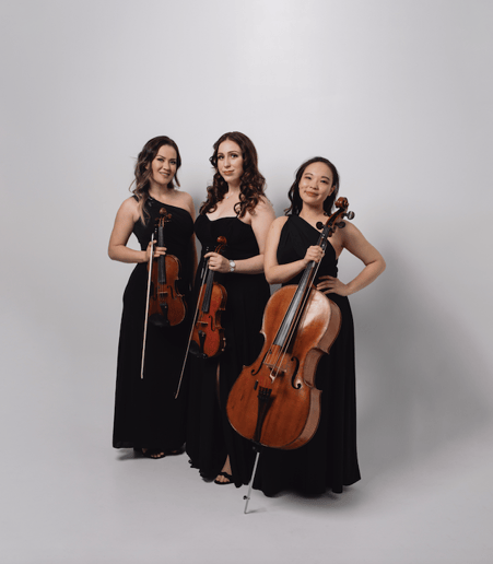 Gallery photo 3 of Impulse Strings