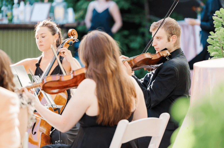 Gallery photo 39 of Impulse Strings