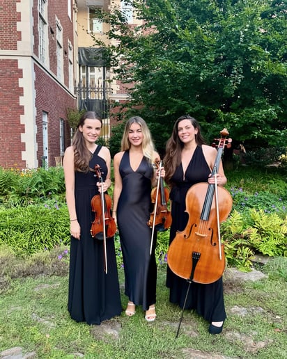 Gallery photo 53 of Impulse Strings