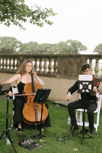 Gallery photo 48 of Impulse Strings