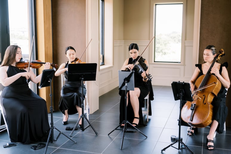 Gallery photo 33 of Impulse Strings