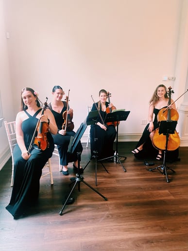Gallery photo 49 of Impulse Strings