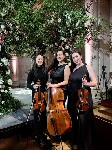 Gallery photo 22 of Impulse Strings