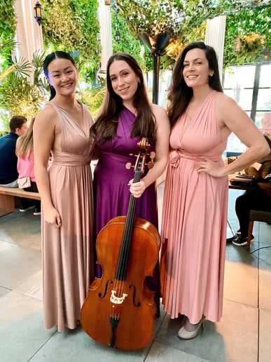 Gallery photo 45 of Impulse Strings