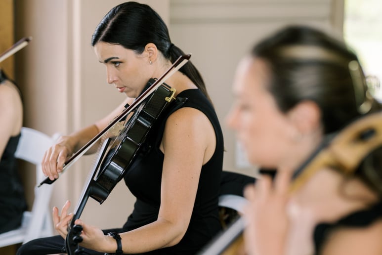 Gallery photo 21 of Impulse Strings