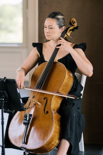 Gallery photo 46 of Impulse Strings