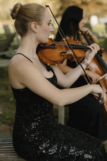 Gallery photo 7 of Impulse Strings