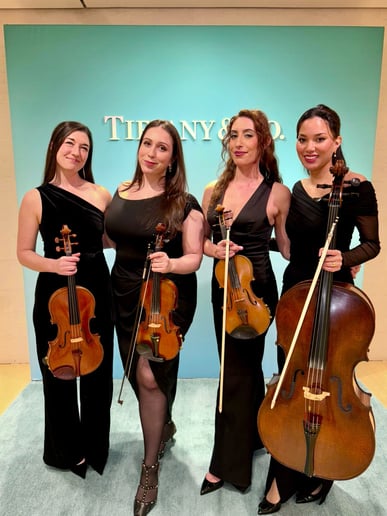 Gallery photo 28 of Impulse Strings