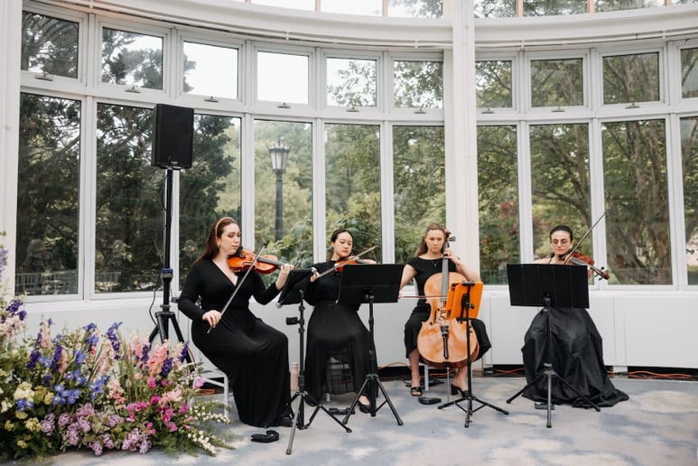 Gallery photo 26 of Impulse Strings