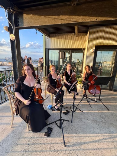 Gallery photo 23 of Impulse Strings