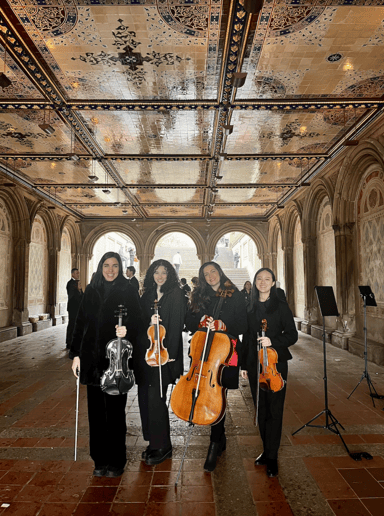 Gallery photo 40 of Impulse Strings
