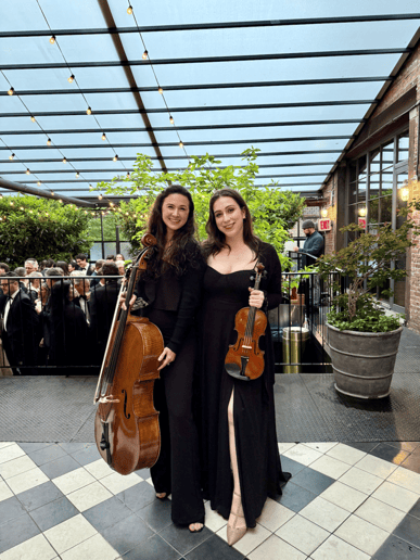 Gallery photo 25 of Impulse Strings