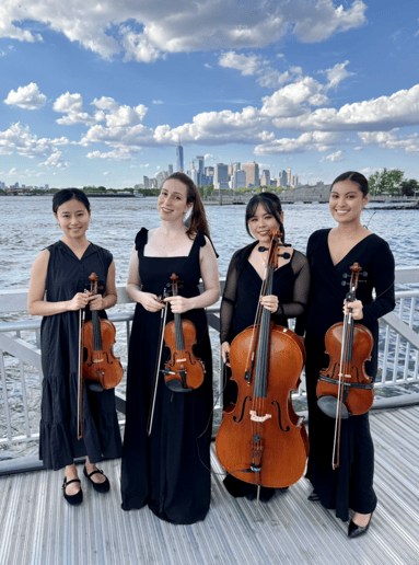 Gallery photo 13 of Impulse Strings