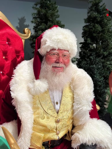 Gallery photo 1 of Professional Santa Teddy