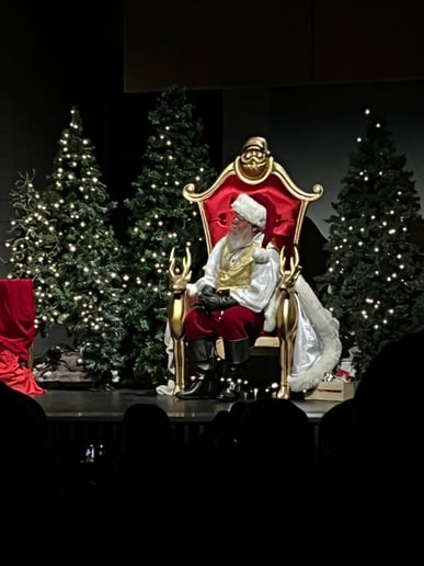 Gallery photo 2 of Professional Santa Teddy