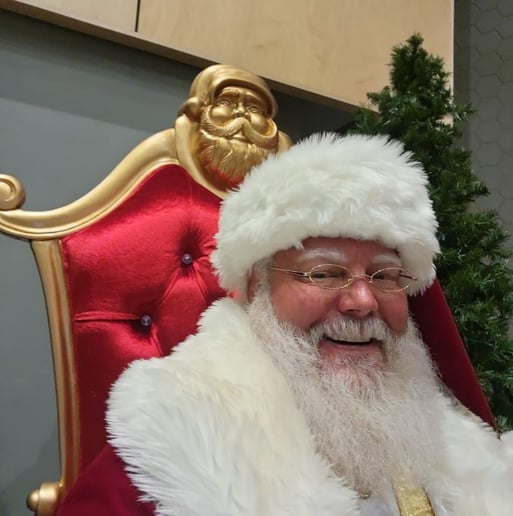 Gallery photo 7 of Professional Santa Teddy