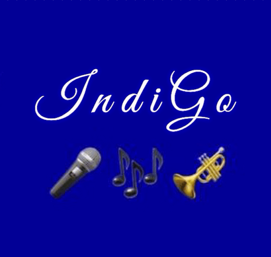 Gallery photo 7 of Indigo Jazz Affair