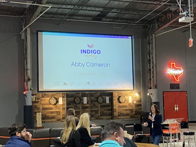 Gallery photo 2 of Indigo Coaching