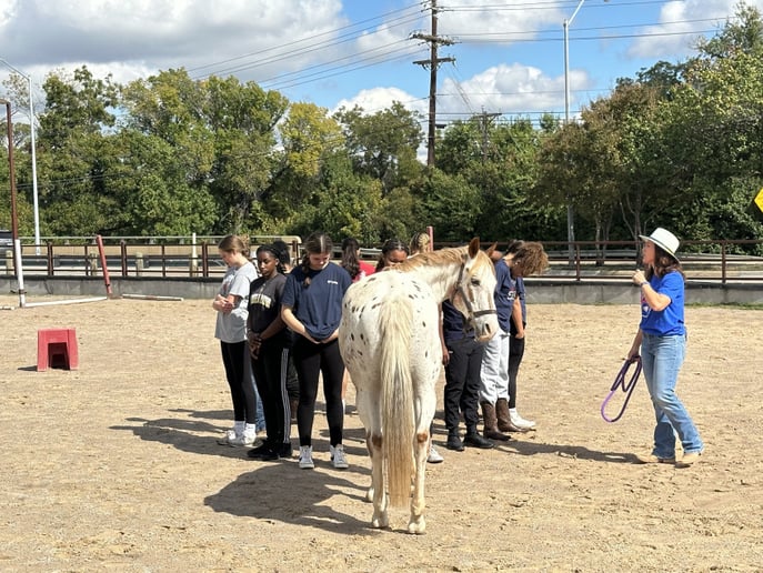 Gallery photo 4 of Indigo Coaching