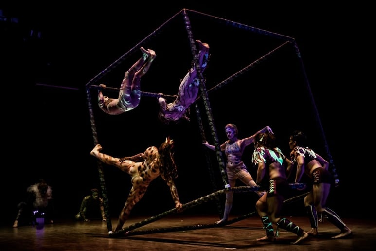 Gallery photo 3 of VCS Events (event division - Vancouver Circus School)