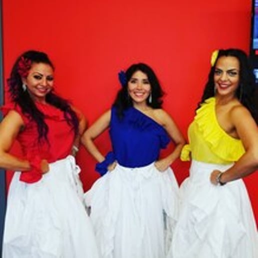 Gallery photo 8 of Inspiracion Latina Dance Company