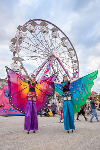 Gallery photo 5 of Inspyral Circus