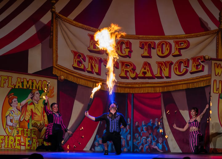 Gallery photo 9 of Inspyral Circus