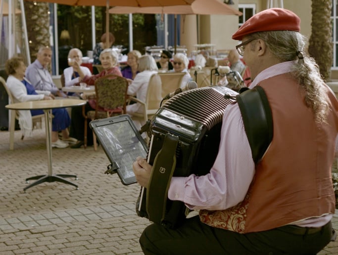 Gallery photo 2 of International Concert Accordionist