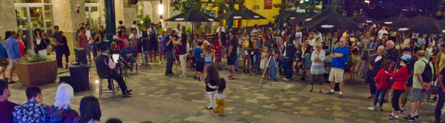 Gallery photo 8 of International Concert Accordionist