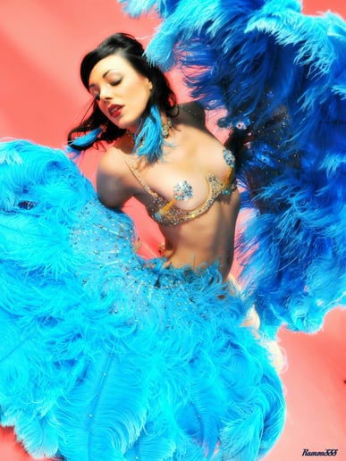 Gallery photo 3 of International Award Winning Burlesque Artist