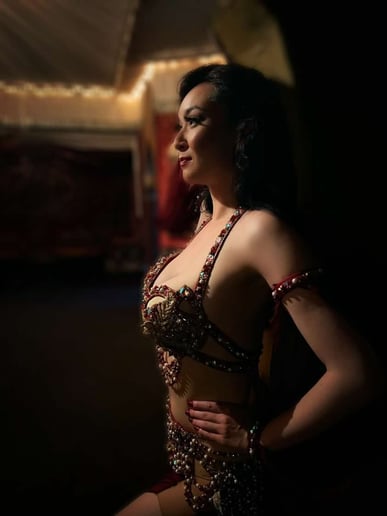 Gallery photo 5 of International Styles (bellydance, samba)