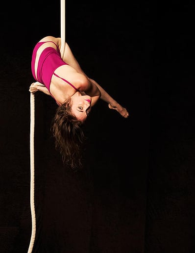 Gallery photo 9 of Inverted Aerial