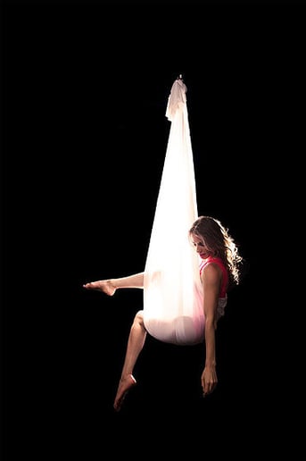 Gallery photo 4 of Inverted Aerial