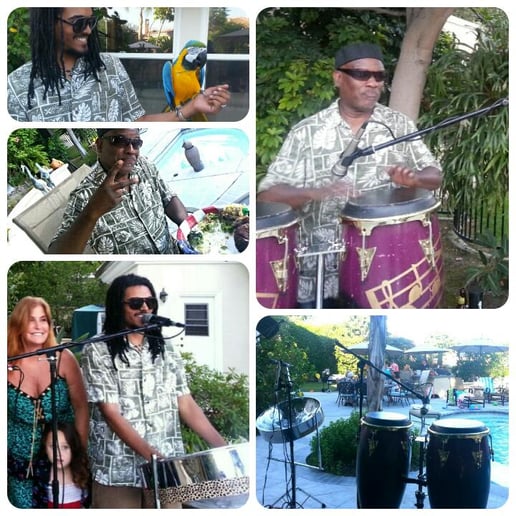 Gallery photo 4 of Danny Williams Steel Drummer/Vocalist